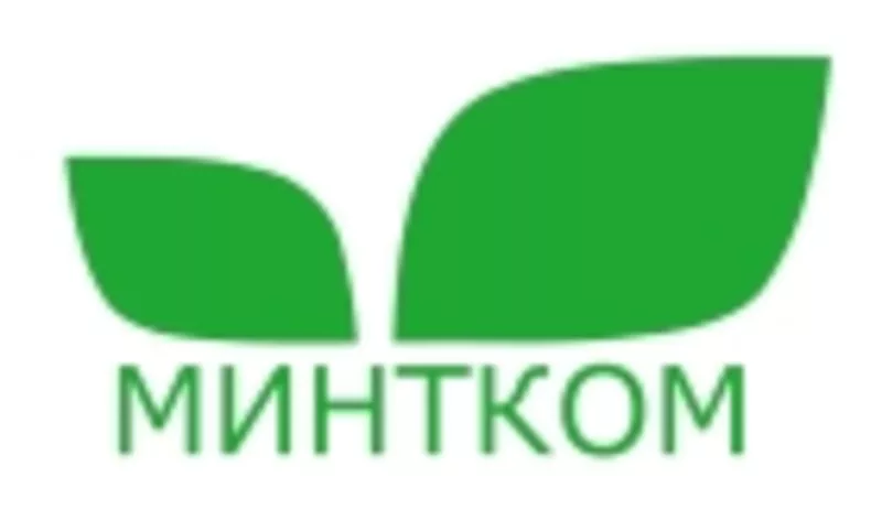 ООО Минтком предлагает услуги в сфере IT